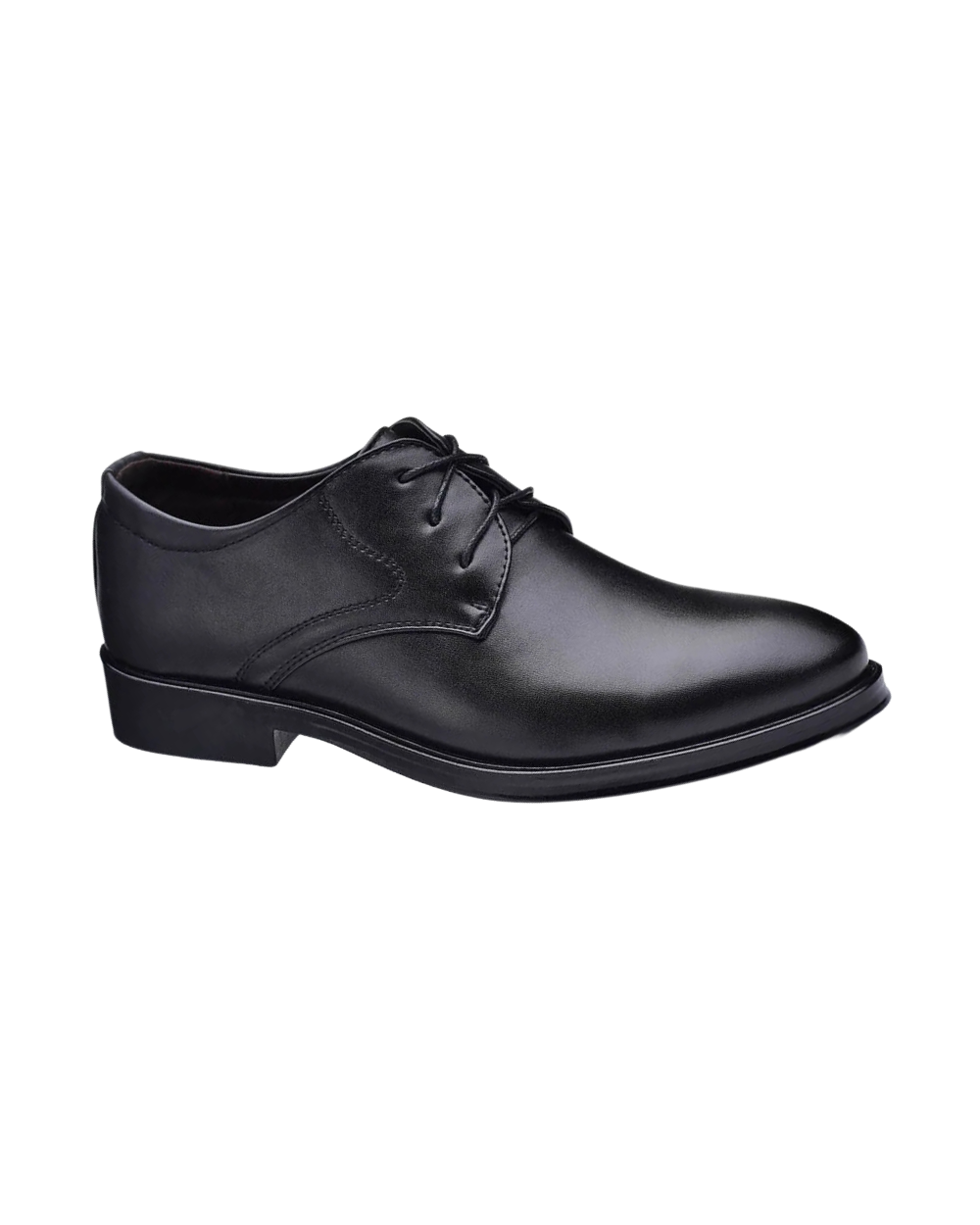 Zapatos de cuero de negocios
